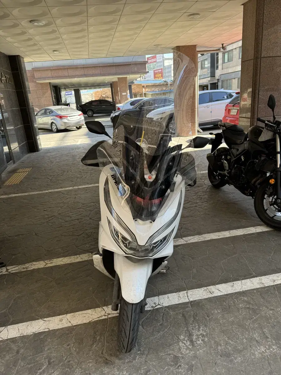 Pcx19년식